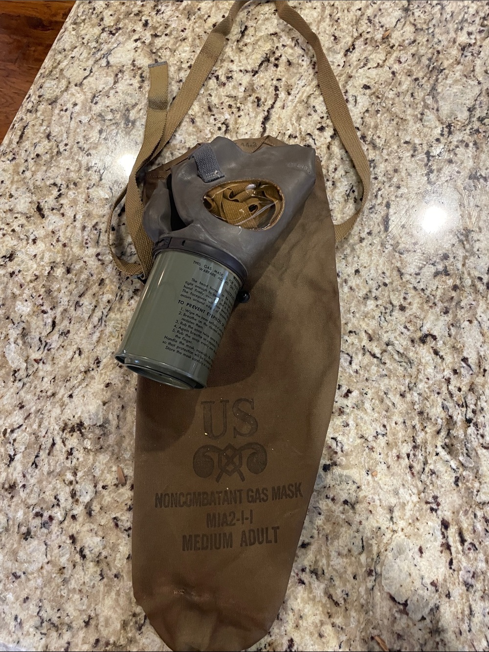 WW1 Authentic Vintage Noncombatant Gas Mask with bag
